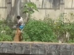 Prefeitura de João Pessoa emite nota sobre episódio que vitimou um jovem no zoológico