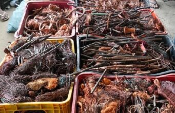 Guarda Civil de João Pessoa e Polícia Civil apreendem quase uma tonelada de cobre